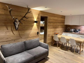 Appartement avec terrasse pour 6 personnes proche pistes à La Clusaz - FR-1-459-199
